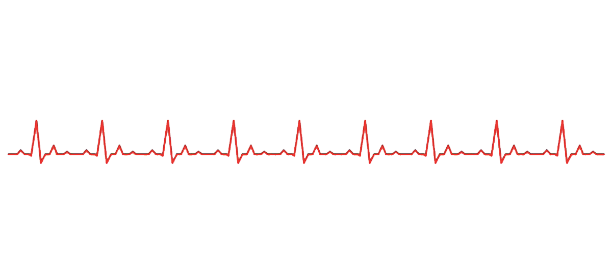 ...paragliding heartrate paraworl ch